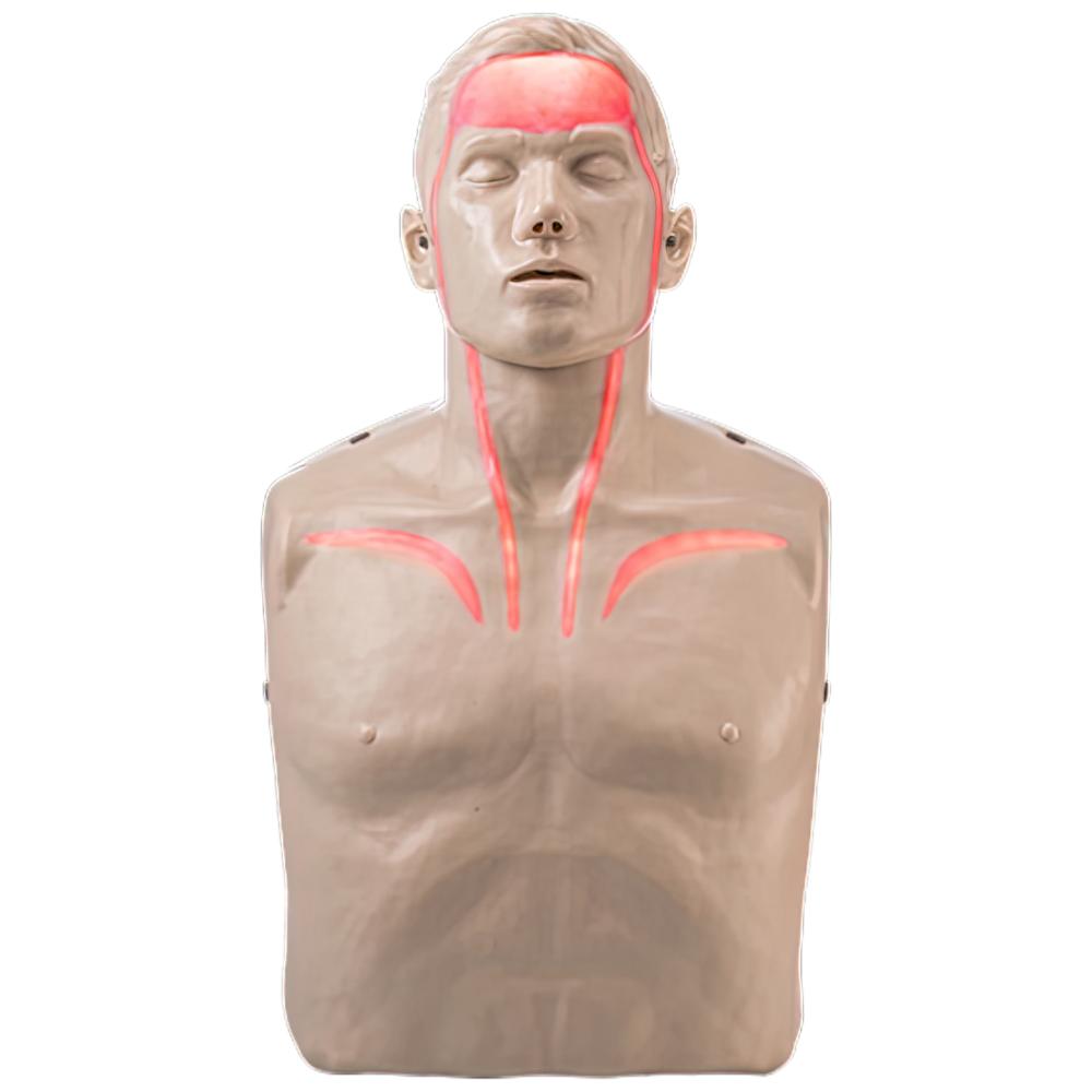 Clinical Skills Medical Training Manikins & Supplies - American Hospital Supply