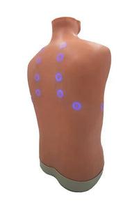 Load image into Gallery viewer, Auscultation Trainer 2.0 - American Hospital Supply
