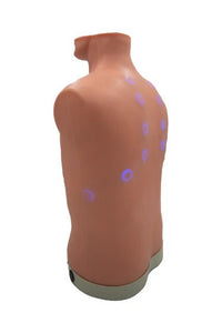 Load image into Gallery viewer, Auscultation Trainer 2.0 - American Hospital Supply
