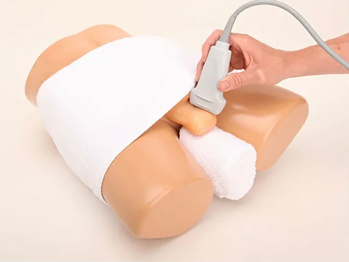 CAE Blue Phantom Scrotal Ultrasound Training Model - American Hospital Supply