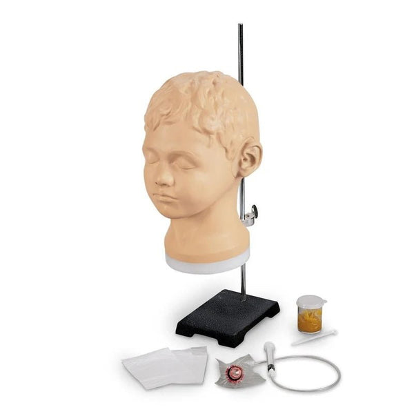 Diagnostic and Procedural Ear Trainer - American Hospital Supply