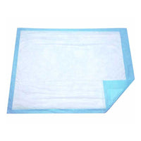 Load image into Gallery viewer, Dukal Disposable Underpad - American Hospital Supply
