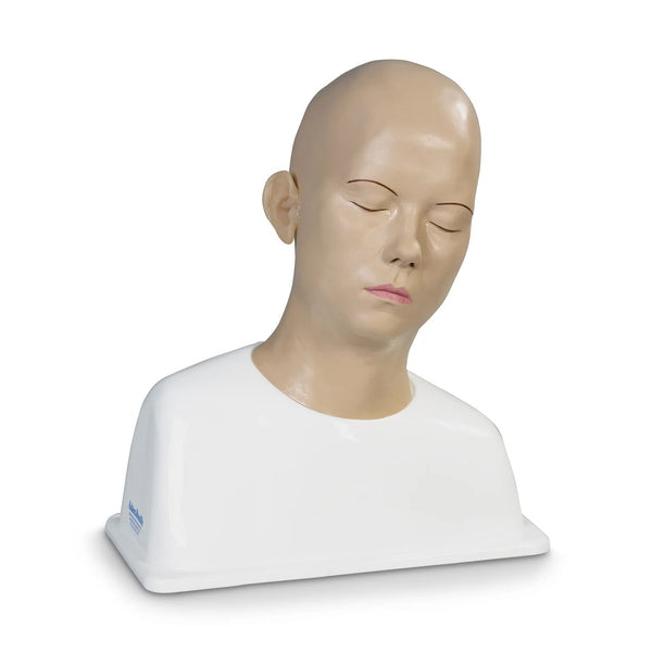 Ear Syringing Trainer - American Hospital Supply