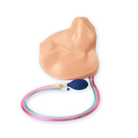 Load image into Gallery viewer, Gen II Central Line and Regional Anesthesia Replacement Insert - American Hospital Supply
