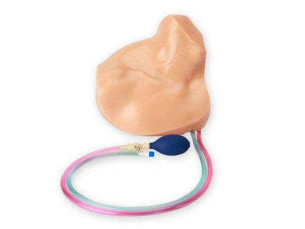 Gen II Ultrasound Central Line Training Model Replacement Tissue Insert - American Hospital Supply