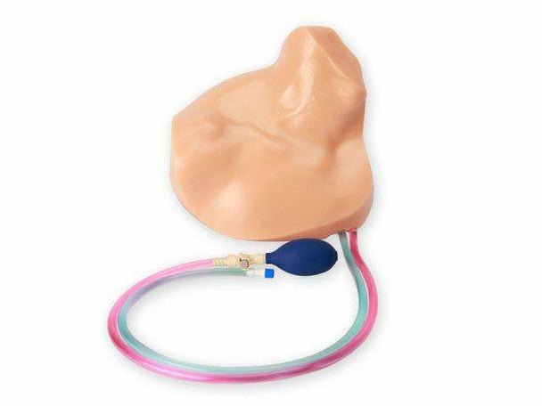 Gen II Ultrasound Central Line Training Model Replacement Tissue Insert - American Hospital Supply
