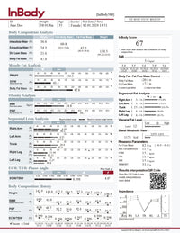 Load image into Gallery viewer, InBody 380 Results Sheets - American Hospital Supply
