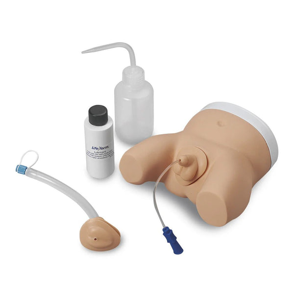 Infant Male and Female Catheterization Trainer - American Hospital Supply