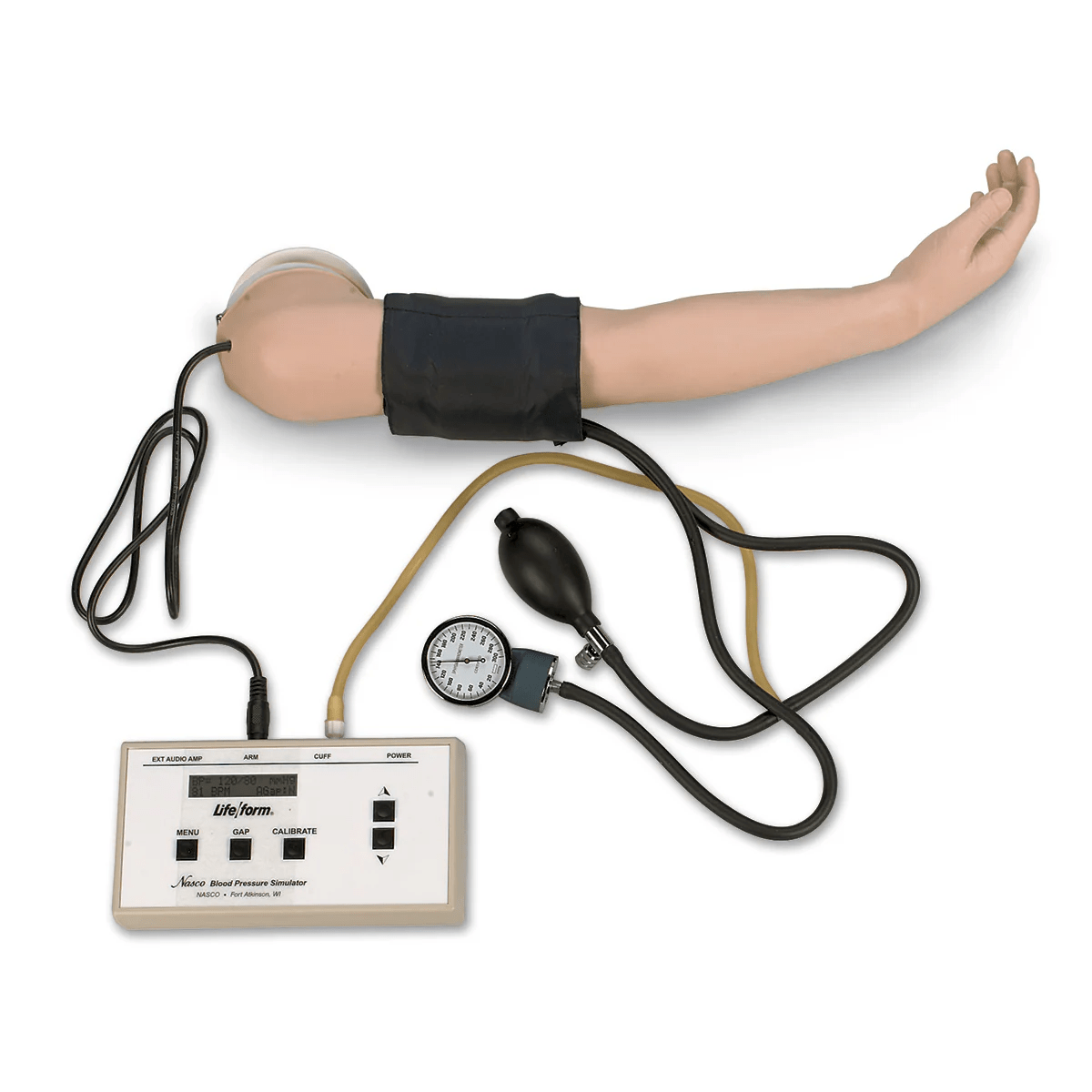 Life/form® Child Blood Pressure Arm - American Hospital Supply