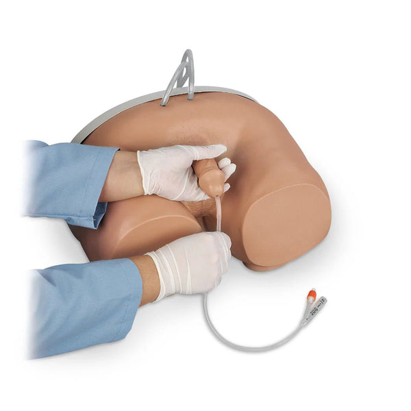 Male & Female Catheterization Simulator Set - American Hospital Supply