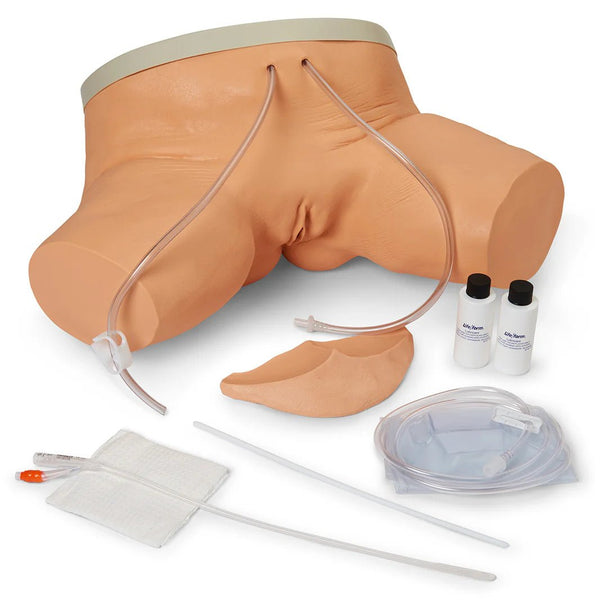 Male & Female Catheterization Simulator Set - American Hospital Supply
