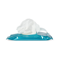 Load image into Gallery viewer, Medline ReadyFlush Flushable Fragrance - Free Wet Wipes, 8" x 10", 24/Pack - American Hospital Supply
