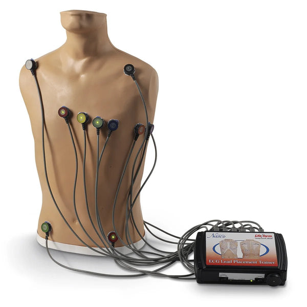 Nasco Healthcare 15-Lead ECG Placement Trainer - American Hospital Supply