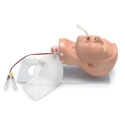 Nasco Healthcare Adult Deluxe Airway Management Trainer - American Hospital Supply