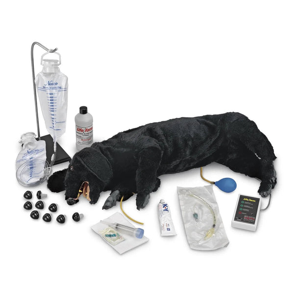 Nasco Healthcare Advanced Sanitary CPR Dog - American Hospital Supply