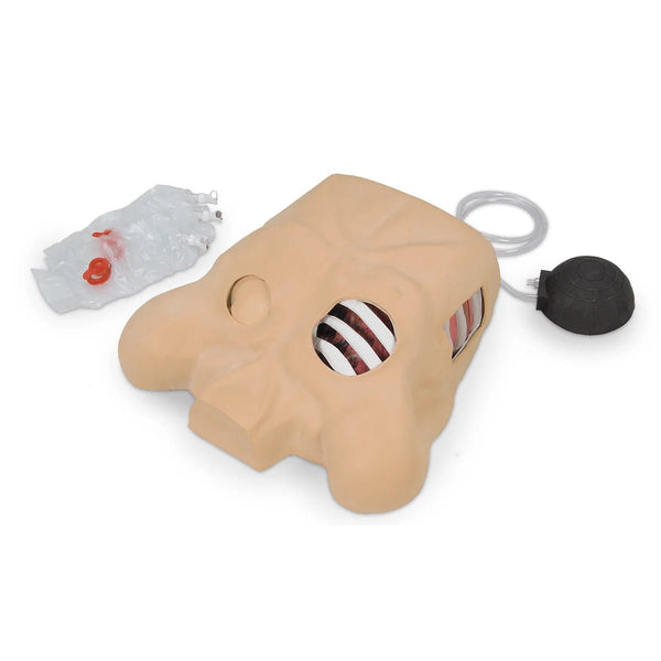 Nasco Healthcare Chest Tube Manikin - American Hospital Supply