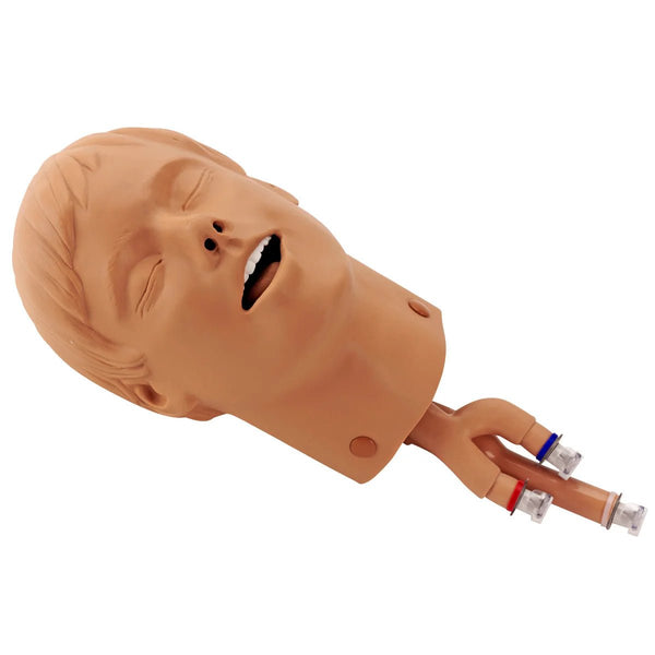 Nasco Healthcare Intubation Head For Adult ALS/BLS Trainers - American Hospital Supply