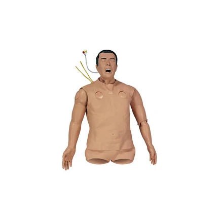 Nasco Healthcare Pre-Hospital Trauma Life Support (Phtls) Manikin Torso - American Hospital Supply