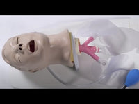 Load and play video in Gallery viewer, 'Airway Larry' Adult Airway Management Trainer with Stand

