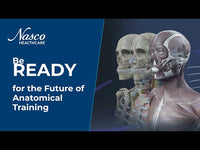 Load and play video in Gallery viewer, Sym Anatomy Virtual Anatomy Software
