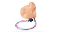 Load image into Gallery viewer, Regional Anesthesia and Ultrasound Central Line Training Model - American Hospital Supply
