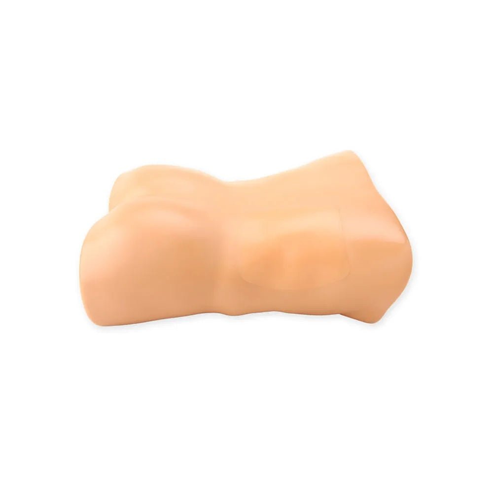 Renal Biopsy Ultrasound Training Model - American Hospital Supply