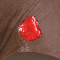 Load image into Gallery viewer, SEYMOUR II WOUND CARE MODEL™ - American Hospital Supply
