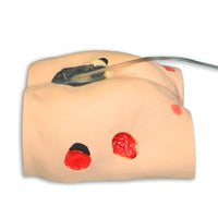 Load image into Gallery viewer, SEYMOUR II WOUND CARE MODEL™ - American Hospital Supply
