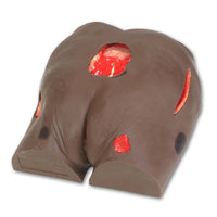 Load image into Gallery viewer, SEYMOUR II WOUND CARE MODEL™ - American Hospital Supply
