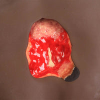 Load image into Gallery viewer, SEYMOUR II WOUND CARE MODEL™ - American Hospital Supply
