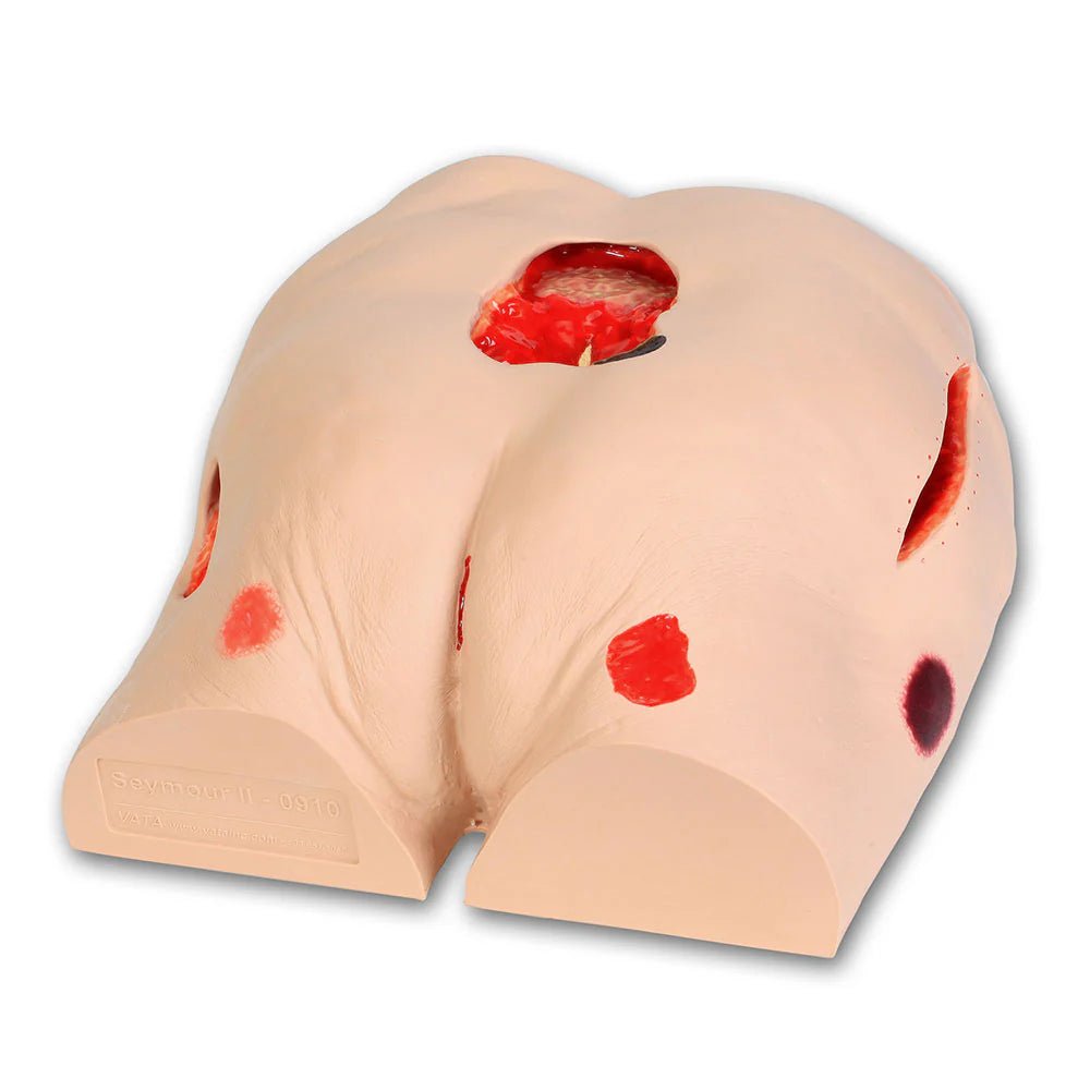 SEYMOUR II WOUND CARE MODEL™ - American Hospital Supply