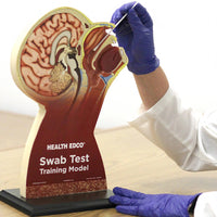 Load image into Gallery viewer, Swab Test Training Model - American Hospital Supply
