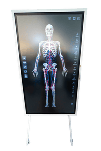 Load image into Gallery viewer, Sym Anatomy Virtual Anatomy Software - American Hospital Supply
