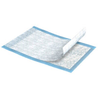 Load image into Gallery viewer, Tena® Extra Absorbent Underpad, 23 x 24 Inch - American Hospital Supply
