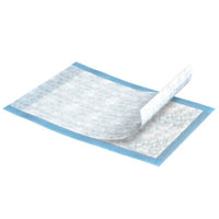 Load image into Gallery viewer, TENA Regular Underpads, Light Absorbency, Blue, Disposable, Latex - Free - American Hospital Supply
