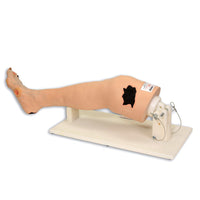 Load image into Gallery viewer, Vata Annie Arterial Insufficiency Leg Model - American Hospital Supply
