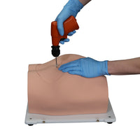 Load image into Gallery viewer, Vata Bonnie Bone Marrow Biopsy Skills Trainer - American Hospital Supply

