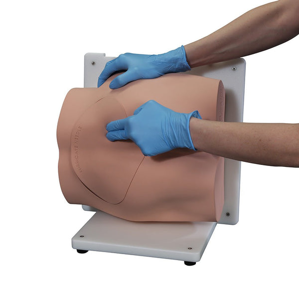 Vata Bonnie Bone Marrow Biopsy Skills Trainer - American Hospital Supply
