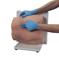 Load image into Gallery viewer, Vata Bonnie Bone Marrow Biopsy Skills Trainer - American Hospital Supply
