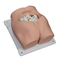 Load image into Gallery viewer, Vata Bonnie Bone Marrow Biopsy Skills Trainer - American Hospital Supply
