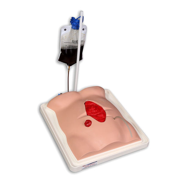 Vata Freddie Fistula Skills Trainer - American Hospital Supply