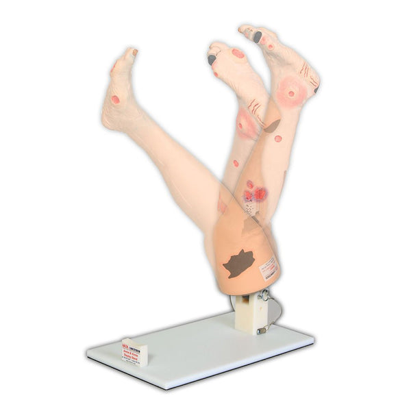 Vata Optional Display Stand For Vinnie Or Annie Insufficiency Leg - American Hospital Supply