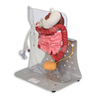 Load image into Gallery viewer, Vata Otto Ostomy Advanced Model With Case - American Hospital Supply
