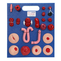 Load image into Gallery viewer, Vata Otto Ostomy Advanced Model With Case - American Hospital Supply
