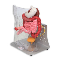 Load image into Gallery viewer, Vata Otto Ostomy Advanced Model With Case - American Hospital Supply
