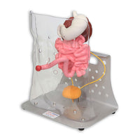 Load image into Gallery viewer, Vata Otto Ostomy Advanced Model With Case - American Hospital Supply
