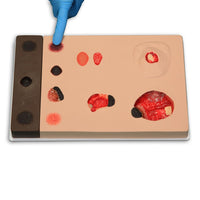 Load image into Gallery viewer, Vata Pat Pressure Injury Staging Model - American Hospital Supply
