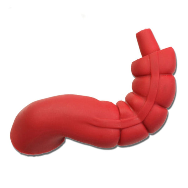 Vata Sigmoid Large Intestine - American Hospital Supply
