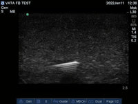 Load image into Gallery viewer, Vata Ultrasound Phantom - Foreign Body - American Hospital Supply

