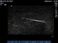 Load image into Gallery viewer, Vata Ultrasound Phantom - Foreign Body - American Hospital Supply
